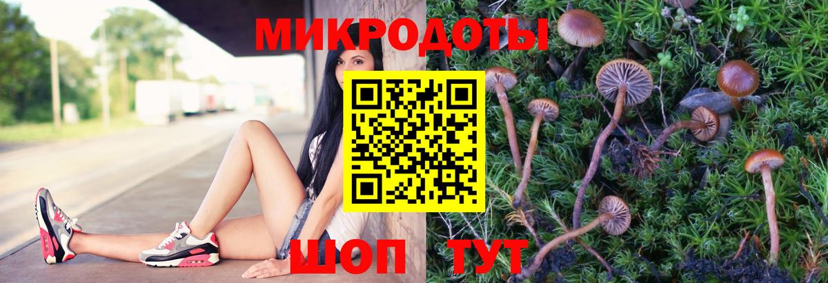 Чернушка  Псилоцибиновые грибы Magic Shrooms  Галлюциногенные грибы MAGIC MUSHROOMS  Вход с VPN 